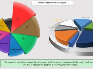 HSE Dashboard for BBS - Pie Chart