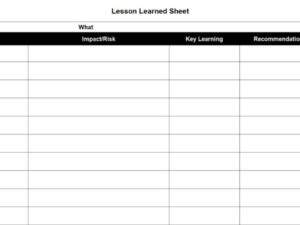 Lessons Learned Sheet