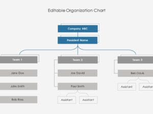 Organization Charts