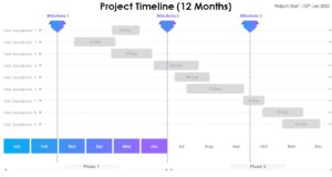 Project Timeline