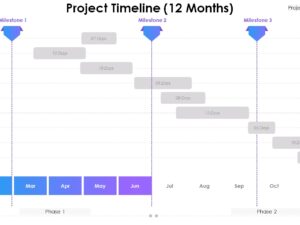 Project Timeline