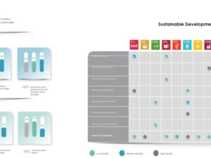 Sustainability Goals 2022