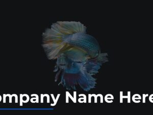 Corporate Presentation for Company