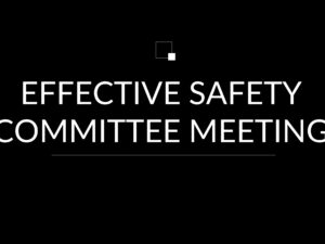 Effective Safety committee meeting