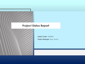 Project Status Report