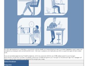 Display Screen Equipment (DSE) Assessment Template