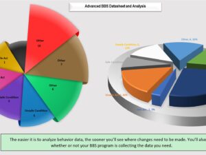 HSE Dashboard for BBS - Pie Chart