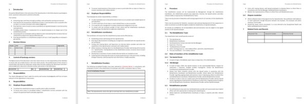 Rehabilitation Procedure Rehabilitation Procedure