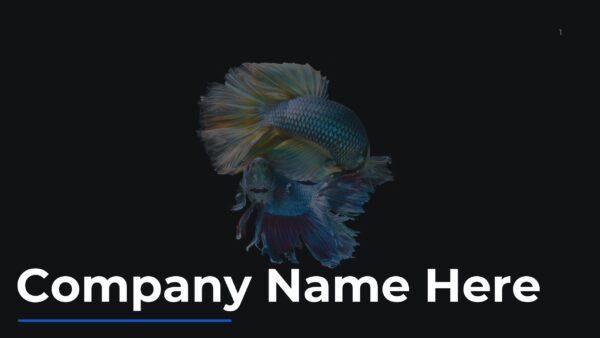 Corporate Presentation for Company Corporate Presentation for Company