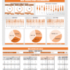 HSE Inspection Dashboard V1.2