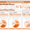 HSE Inspection Dashboard V1.2